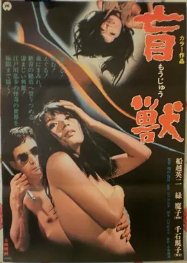 久久视频短剧离婚后我成了顶流